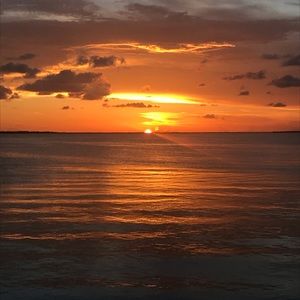 Meet your Posher, Alana